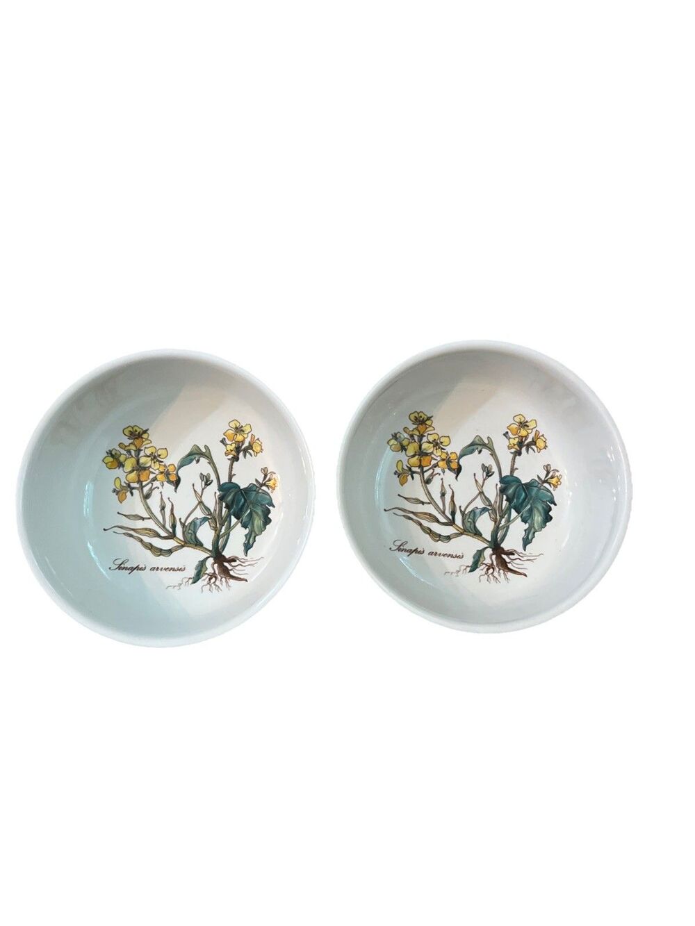 2 Villeroy & Boch Botanica Soup Cereal Bowl 5 1/4" Linapis Arvensis w Root